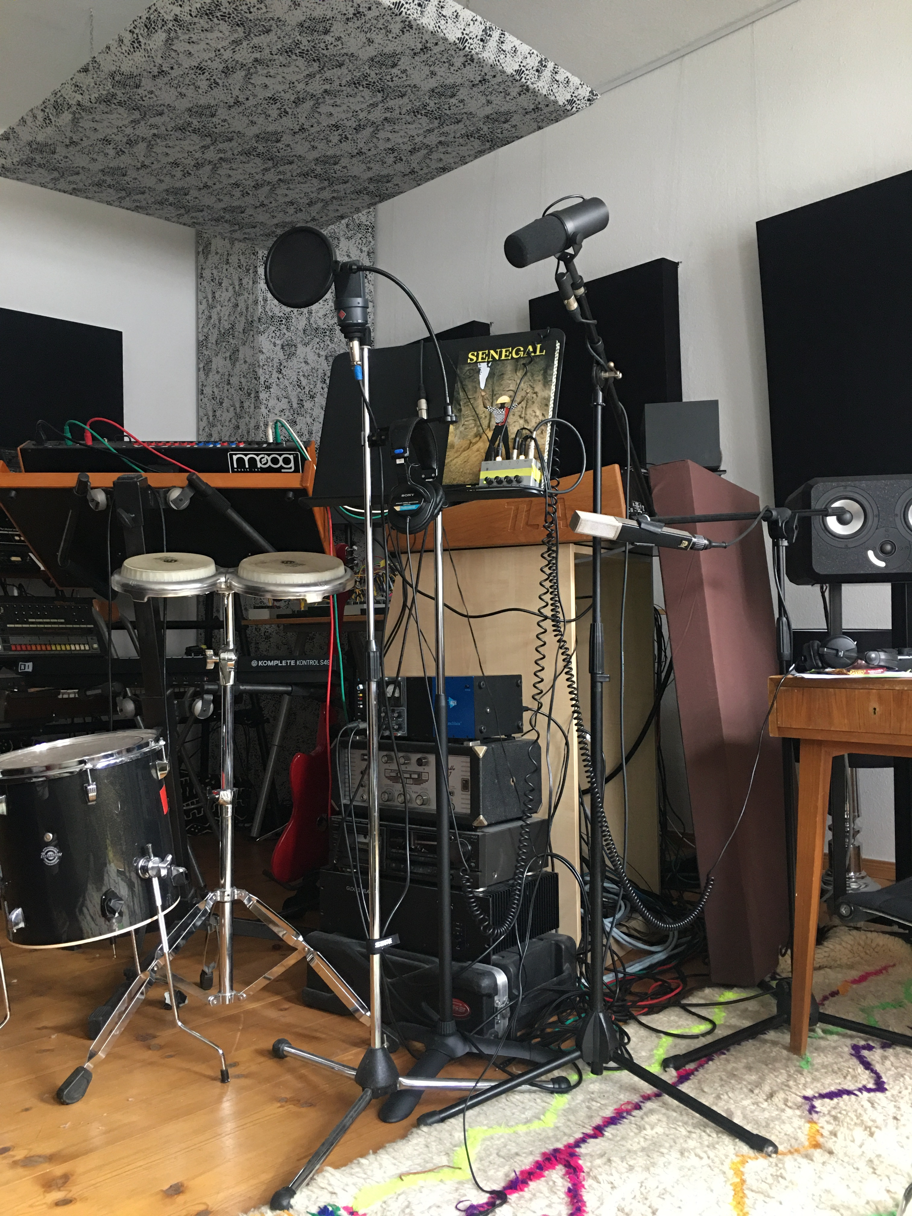 We experimented a lot with Laura's voice through effect units like analog tape delays and the Eventide H9000